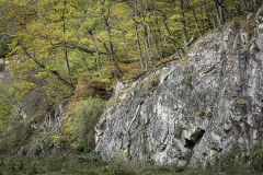 Efteraar-Ekkodalen-2