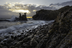 Kamelhovederne-en-aften-i-maj-I