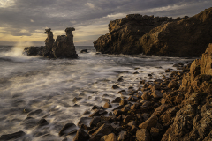 Kamelhovederne-i-aftenlys