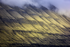 Fossinshamar