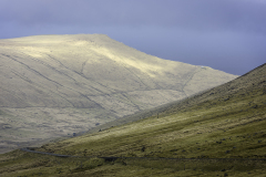 Tjoernudalur