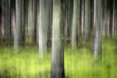 ICM