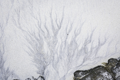 Lofoten