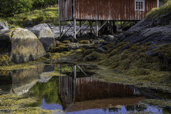 Rorbu-med-spejling-Nusfjord